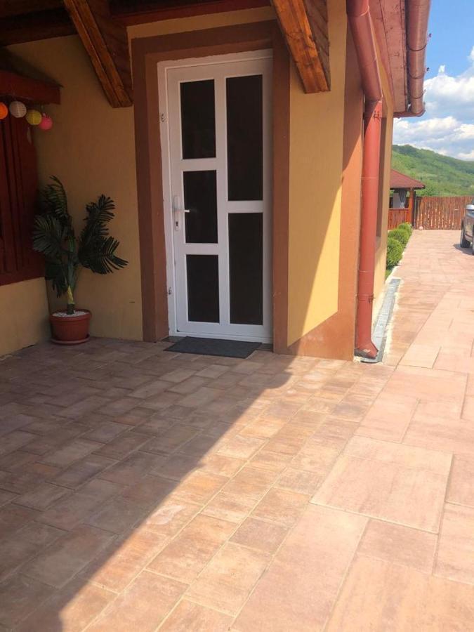 Casa Alexia Hotel Hateg Exterior photo